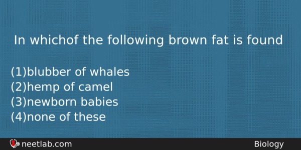 In Whichof The Following Brown Fat Is Found Biology Question 