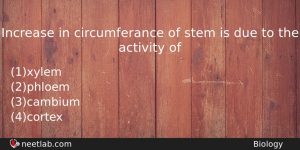 Increase In Circumferance Of Stem Is Due To The Activity Biology Question