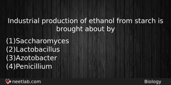 Industrial Production Of Ethanol From Starch Is Brought About By Biology Question 