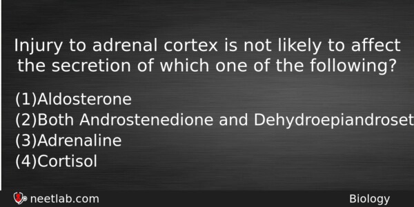 Injury To Adrenal Cortex Is Not Likely To Affect The Biology Question 