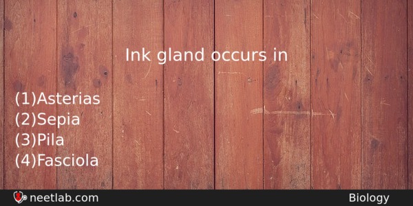 Ink Gland Occurs In Biology Question 