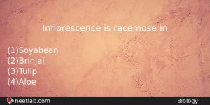 Inorescence Is Racemose In Biology Question