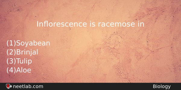 Inorescence Is Racemose In Biology Question 