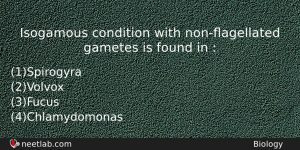 Isogamous Condition With Nonagellated Gametes Is Found In Biology Question