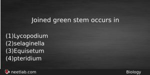 Joined Green Stem Occurs In Biology Question