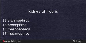 Kidney Of Frog Is Biology Question