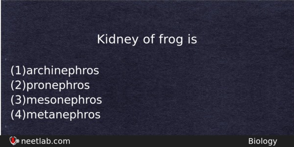 Kidney Of Frog Is Biology Question 