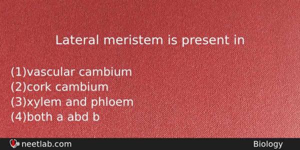 Lateral Meristem Is Present In Biology Question 