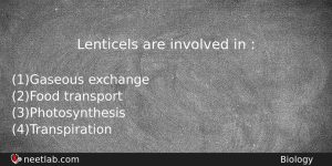 Lenticels Are Involved In Biology Question