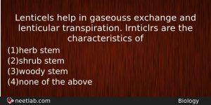 Lenticels Help In Gaseouss Exchange And Lenticular Transpiration Lrnticlrs Are Biology Question