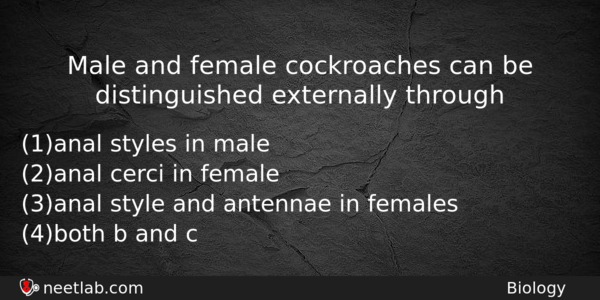 Male And Female Cockroaches Can Be Distinguished Externally Through Biology Question 