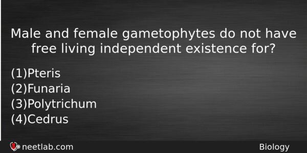 Male And Female Gametophytes Do Not Have Free Living Independent Biology Question 