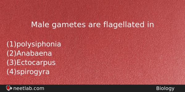 Male Gametes Are Flagellated In Biology Question 
