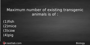 Maximum Number Of Existing Transgenic Animals Is Of Biology Question