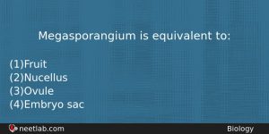 Megasporangium Is Equivalent To Biology Question