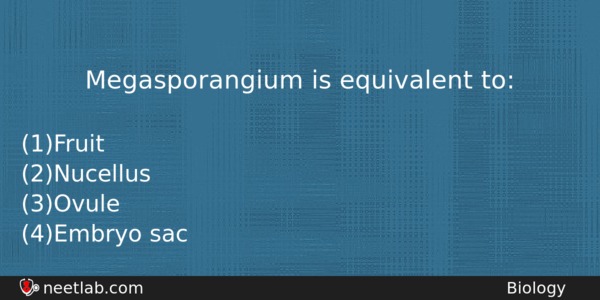Megasporangium Is Equivalent To Biology Question 