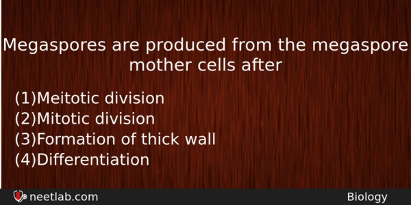 Megaspores Are Produced From The Megaspore Mother Cells After Biology Question 