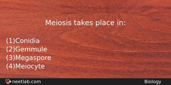 Meiosis Takes Place In Biology Question 