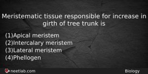 Meristematic Tissue Responsible For Increase In Girth Of Tree Trunk Biology Question