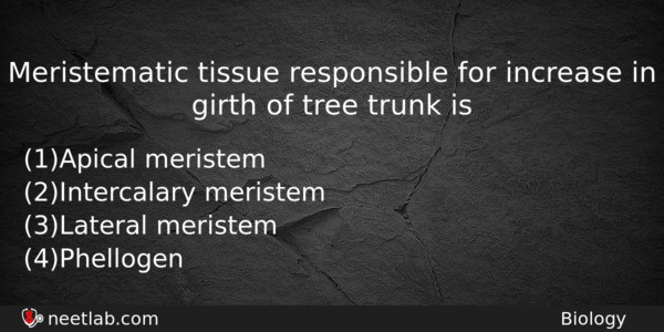 Meristematic Tissue Responsible For Increase In Girth Of Tree Trunk Biology Question 