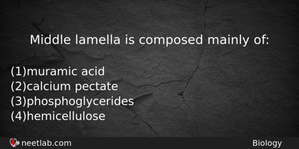 Middle Lamella Is Composed Mainly Of Biology Question 