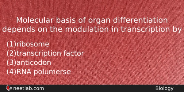 Molecular Basis Of Organ Differentiation Depends On The Modulation In Biology Question 