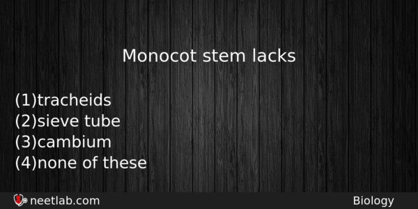 Monocot Stem Lacks Biology Question 