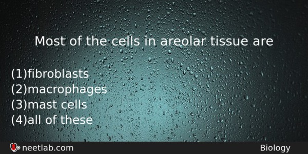 Most Of The Cells In Areolar Tissue Are Biology Question 