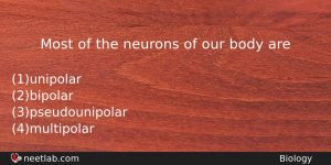 Most Of The Neurons Of Our Body Are Biology Question