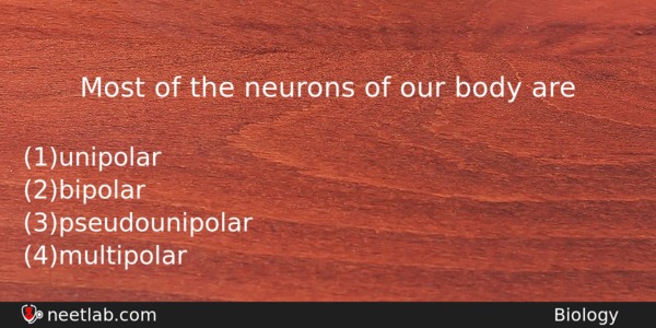 Most Of The Neurons Of Our Body Are Biology Question 