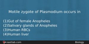 Motile Zygote Of Plasmodium Occurs In Biology Question