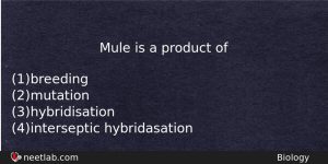 Mule Is A Product Of Biology Question