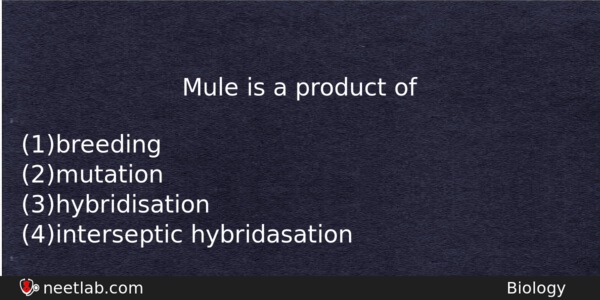 Mule Is A Product Of Biology Question 