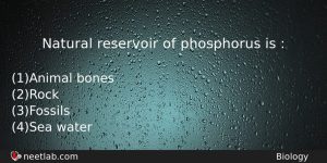 Natural Reservoir Of Phosphorus Is Biology Question