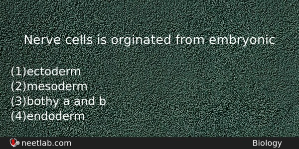 Nerve Cells Is Orginated From Embryonic Biology Question 