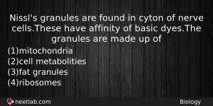 Nissls Granules Are Found In Cyton Of Nerve Cellsthese Have Biology Question