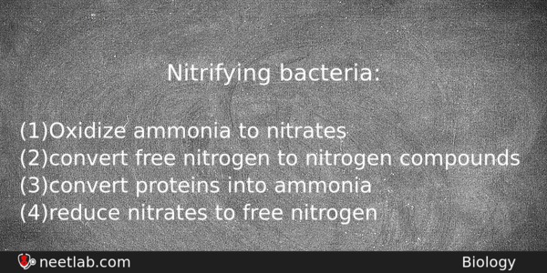 Nitrifying Bacteria Biology Question 