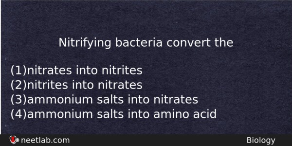 Nitrifying Bacteria Convert The Biology Question 