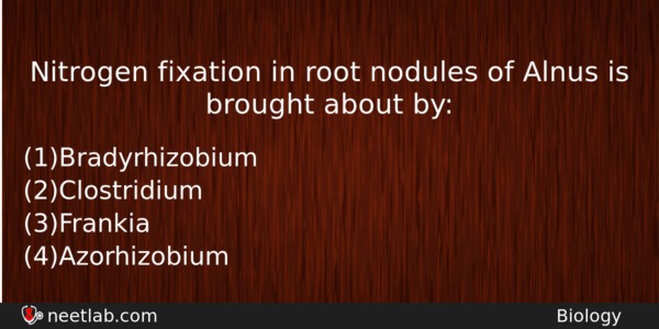 Nitrogen Fixation In Root Nodules Of Alnus Is Brought About Biology Question 