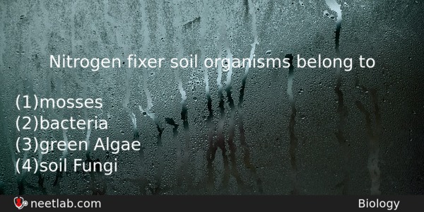 Nitrogen Fixer Soil Organisms Belong To Biology Question 