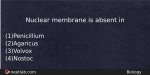 Nuclear Membrane Is Absent In Biology Question