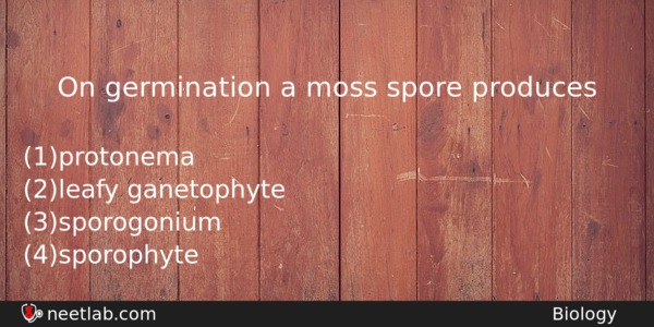 On Germination A Moss Spore Produces Biology Question 