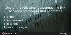One Of The Following Is A Connecting Link Between Protozoans Biology Question