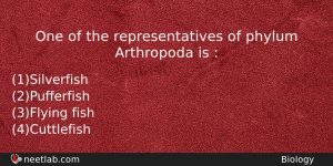 One Of The Representatives Of Phylum Arthropoda Is Biology Question