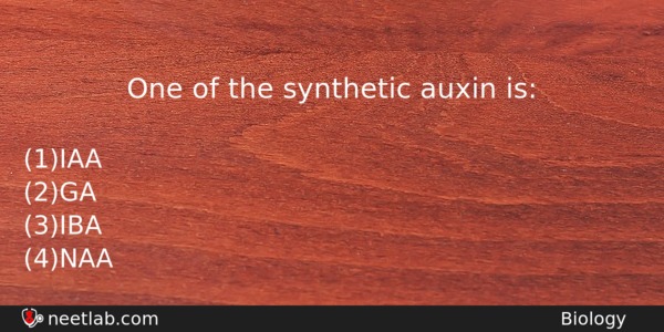 One Of The Synthetic Auxin Is Biology Question 