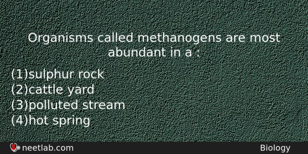 Organisms Called Methanogens Are Most Abundant In A Biology Question 