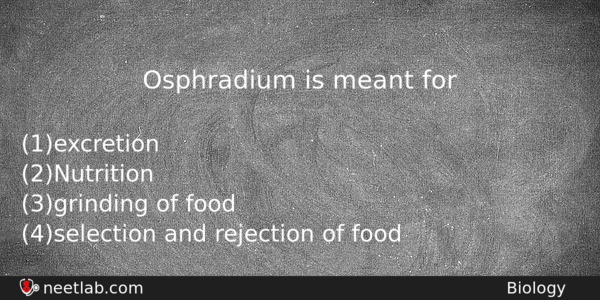 Osphradium Is Meant For Biology Question 