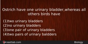 Ostrich Have One Urinary Bladderwhereas All Others Birds Have Biology Question