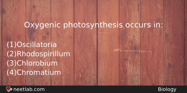 Oxygenic Photosynthesis Occurs In Biology Question 