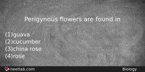 Perigynous Flowers Are Found In Biology Question